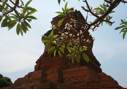 Surabaya Port: Trowulan Temple Archeological Tours