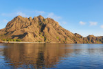 From Labuan Bajo: Komodo One Day Tour