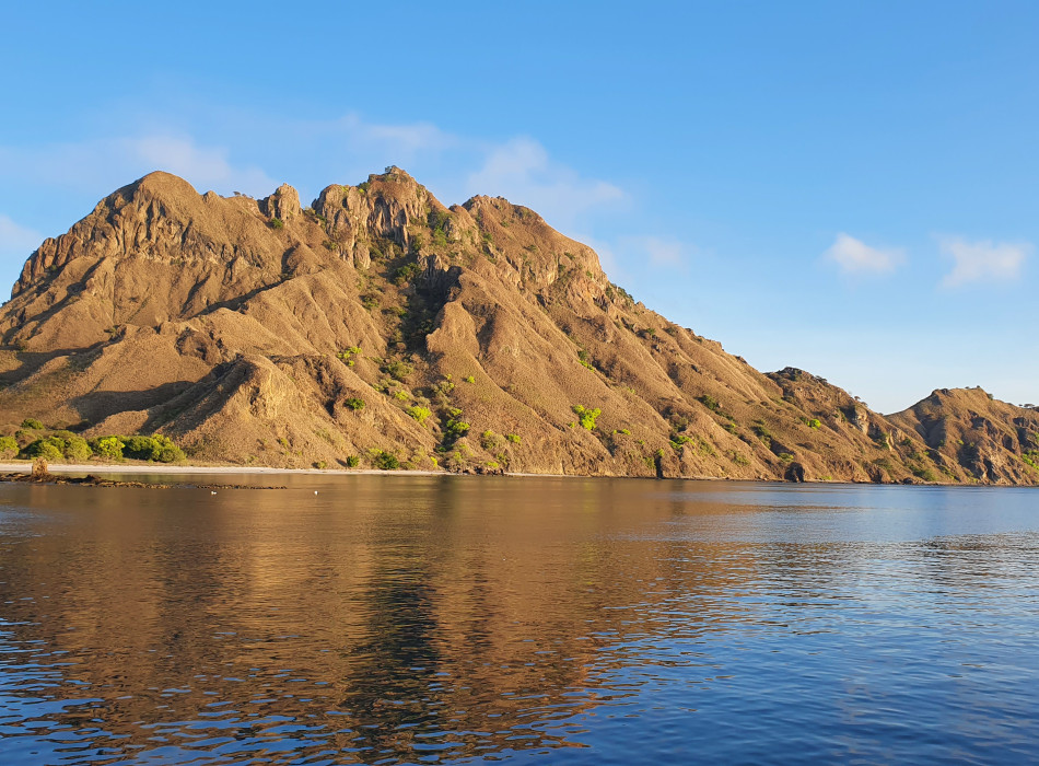 From Labuan Bajo: Komodo One Day Tour