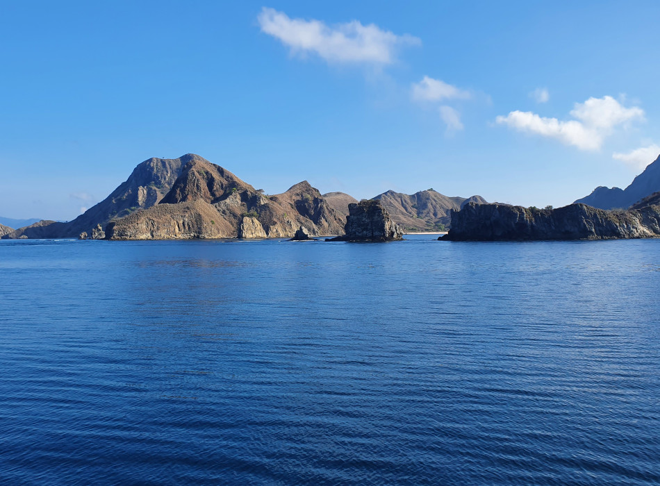 From Labuan Bajo: Komodo One Day Tour
