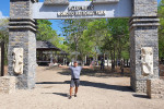 From Labuan Bajo: Komodo One Day Tour