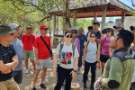 From Labuan Bajo: Komodo One Day Tour