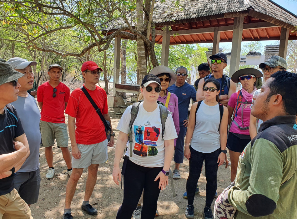 From Labuan Bajo: Komodo One Day Tour