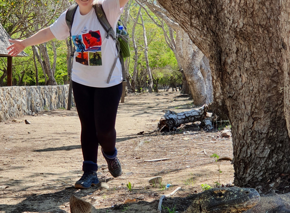 From Labuan Bajo: Komodo One Day Tour