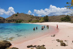 From Labuan Bajo: Komodo One Day Tour