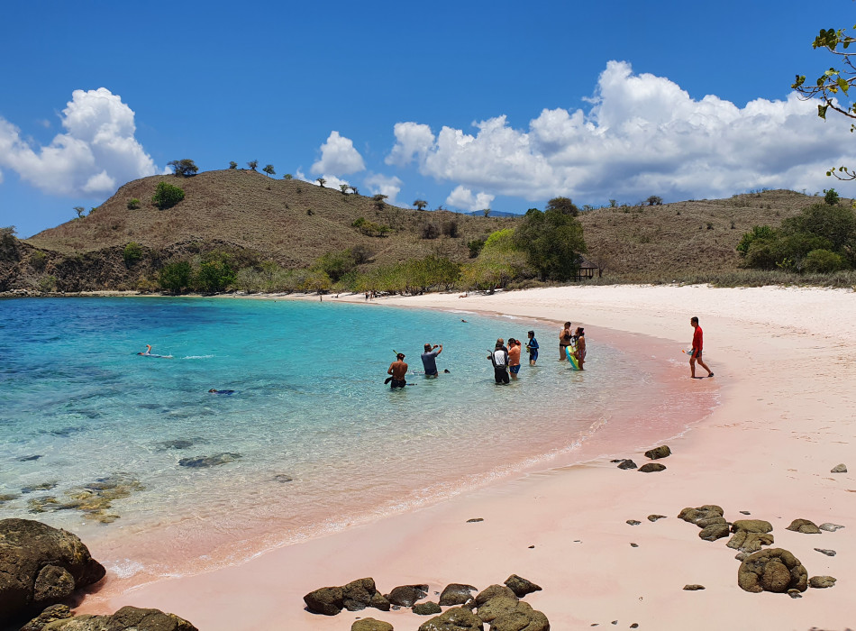 From Labuan Bajo: Komodo One Day Tour