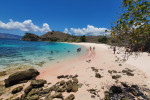 From Labuan Bajo: Komodo One Day Tour