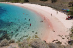 From Labuan Bajo: Komodo One Day Tour