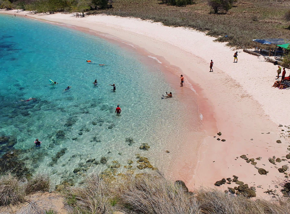 From Labuan Bajo: Komodo One Day Tour