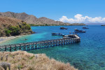 From Labuan Bajo: Komodo One Day Tour