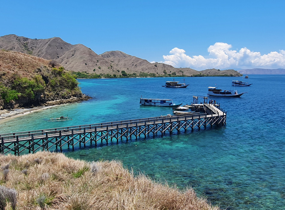 From Labuan Bajo: Komodo One Day Tour