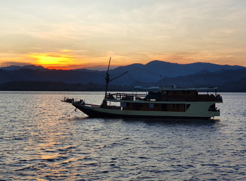 From Labuan Bajo: Komodo One Day Tour