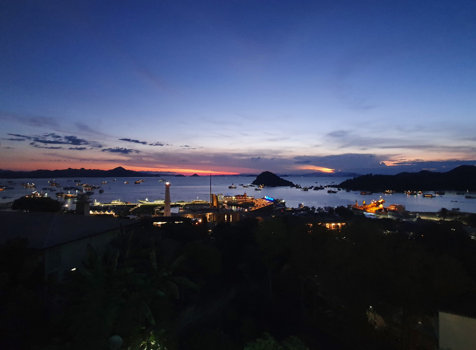 From Labuan Bajo: Komodo One Day Tour
