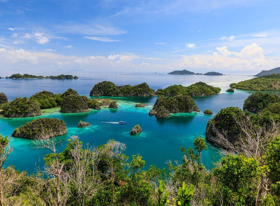 5D4N Raja Ampat - Piaynemo Tour Package