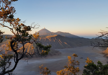 Surabaya Port: Bromo One Day Trip