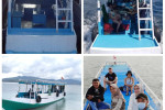 From Labuan Bajo: Komodo One Day Tour