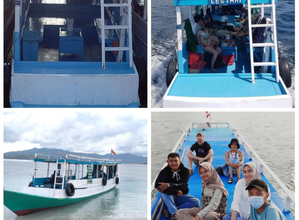 From Labuan Bajo: Komodo One Day Tour